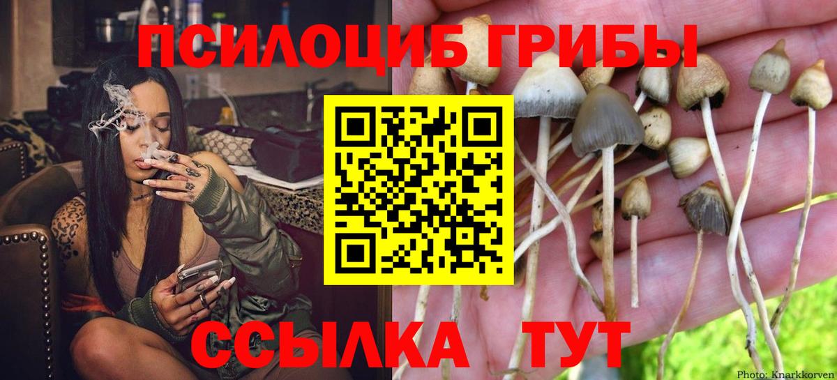 купить наркотик  Псилоцибиновые грибы Psilocybine cubensis  Вход с VPN  Елец 